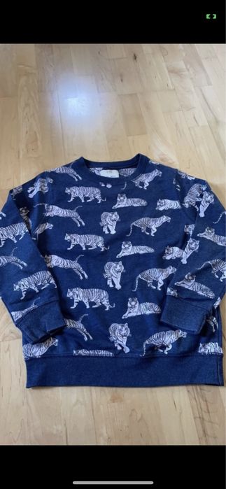 Bluza dla chłopczyka Zara