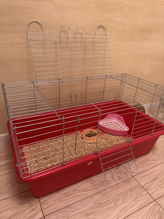 Продамо кролика *Висло Вухий Британець*