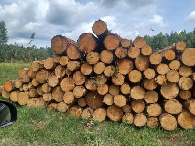 Drewno opałowe i kominkowe