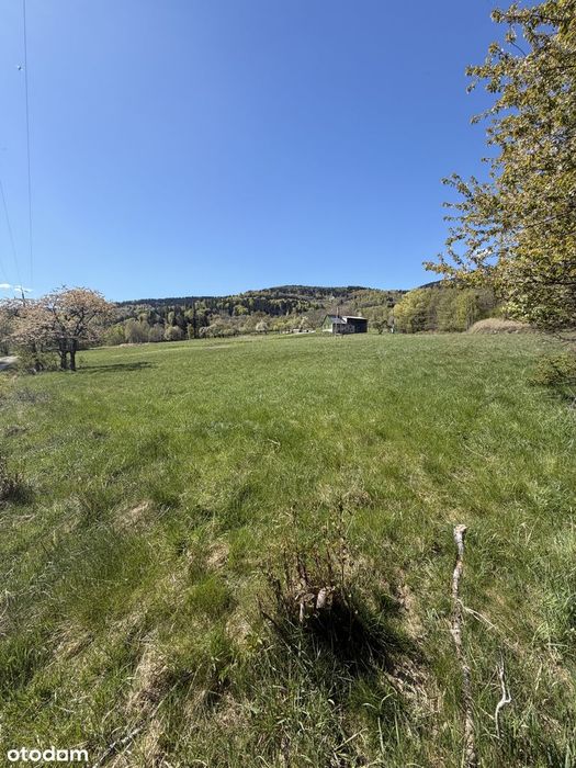 Działka budowlana 3056 m²  w Sudetach - Widok 2