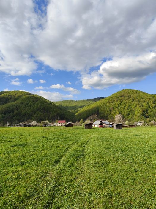 Продаж земельної ділянки 43 сот. в Карпатах с. Шешори