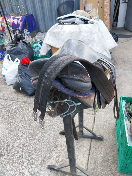 Cela pra cavalo  gr