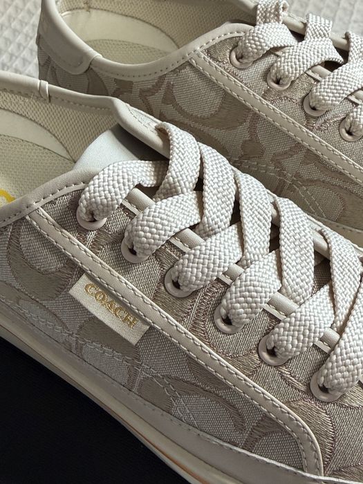 Кросівки, кеди coach