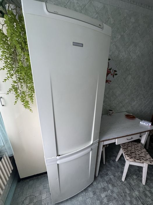 Холодильник Electrolux