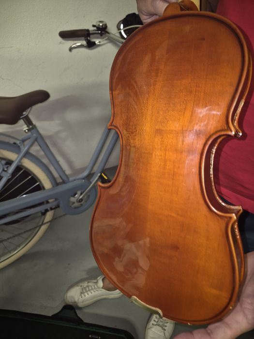 3/4 Learning Violin457025793336944642