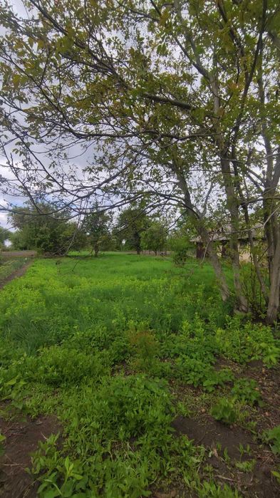 Продаж земельної ділянки в с. Слобода, Обухівський (Кагарлицький) р-н