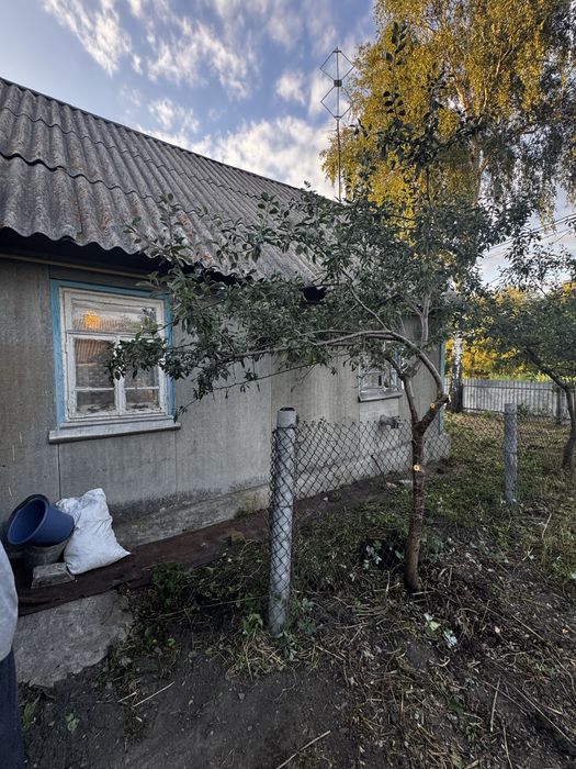 Продаж Будинок с. Кодня 50 сот землі