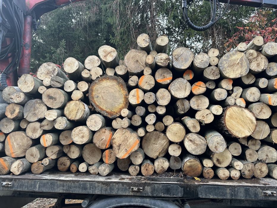 Drewno, drzewo opałowe, brykiet TRANSPORT GRATIS