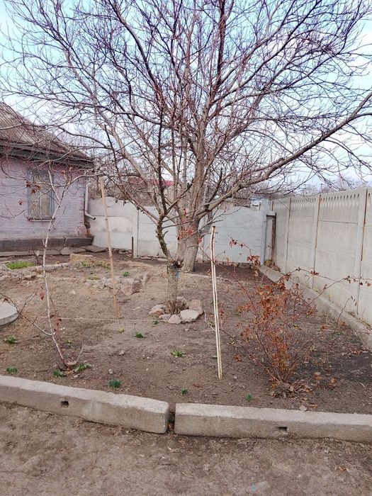 Продам будинок місто Мала Виска