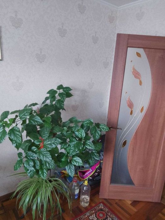 Сдам 2-х ком. по ул. Украинская.