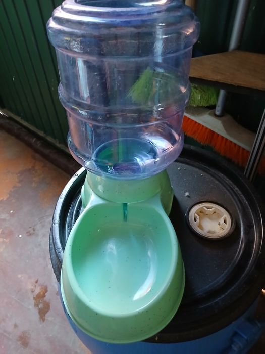 Bebedouro para animais