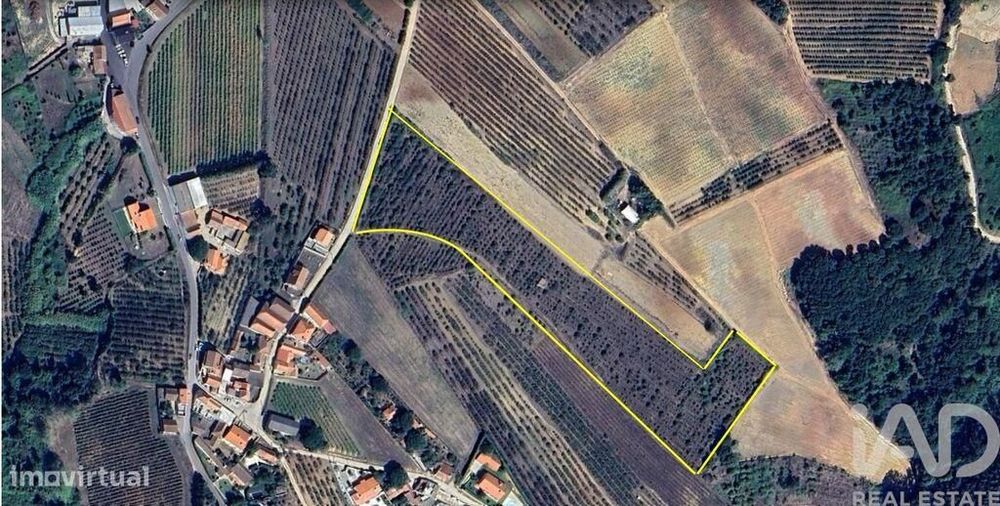 Agricultural Land in Carvalhal