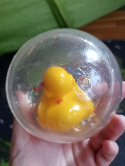 Kaczka Fischer Price w kuli