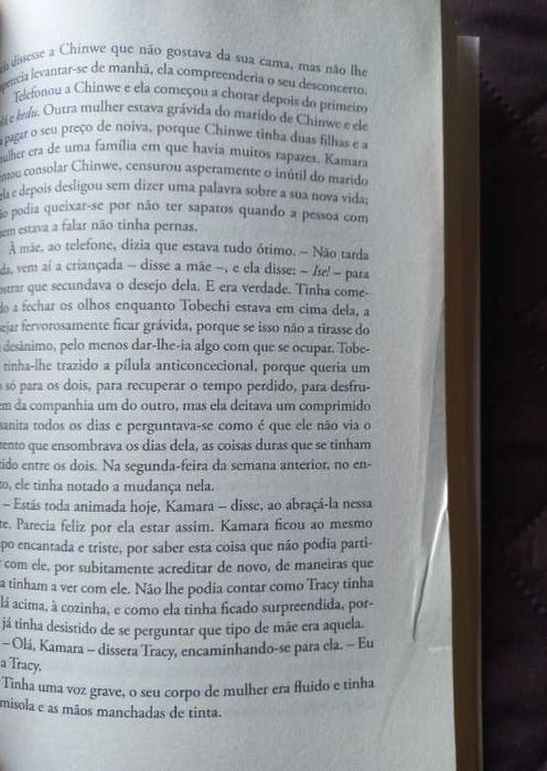 A Coisa à Volta do Teu Pescoço - Chimamanda Ngozi Adichie