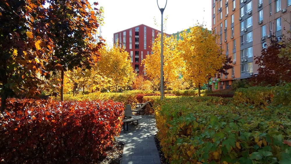 Чарівні Lux апартаменти подобово в ЖК Комфорт-Таун. МВЦ. Дарниця.