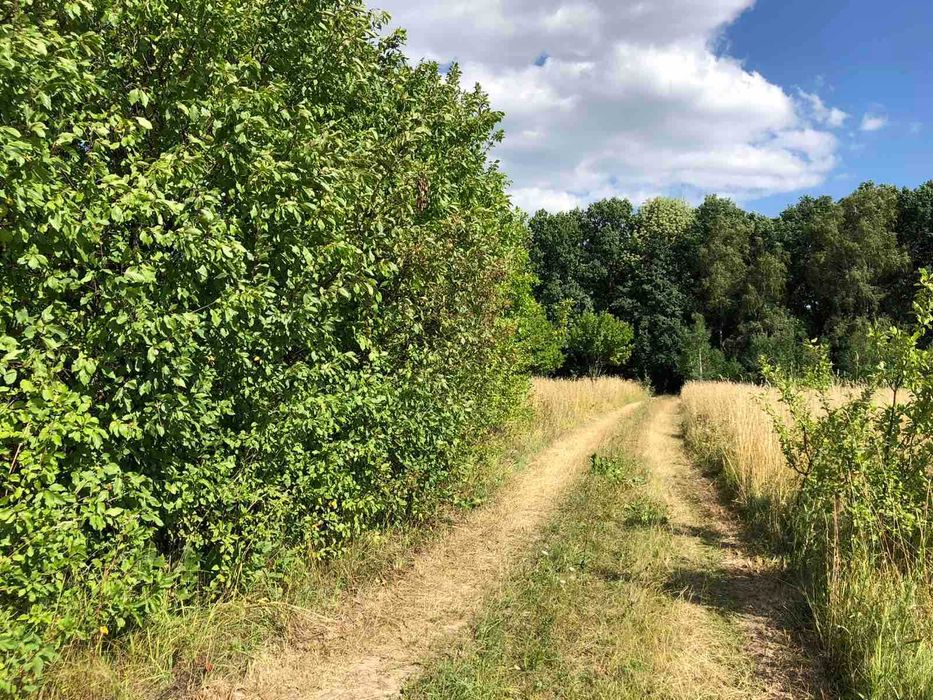 Продам ділянку с. Щітки (8387)