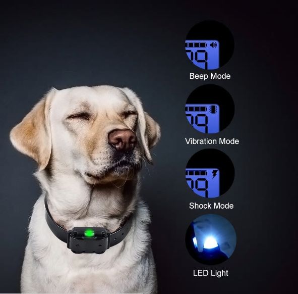 Coleira Eletrica para Cão