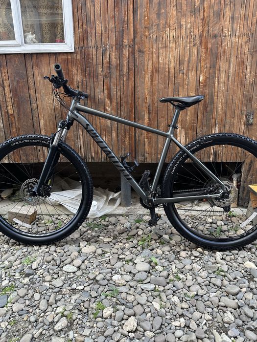 specialized 29  xl