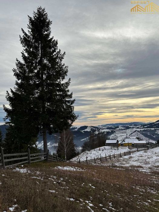 Верховина. 30сотих. Нерухомість. Земля. Карпати. Верховинський район