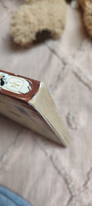 Książka dla dzieci Rok w lesie Emilia Dziubak (Nasza Księgarnia)