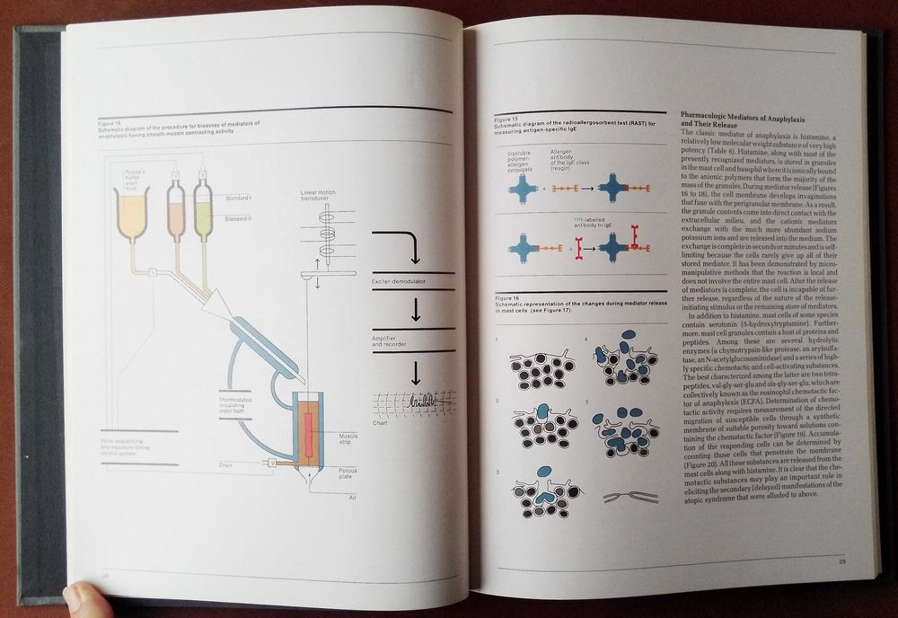 Livro: Immunology