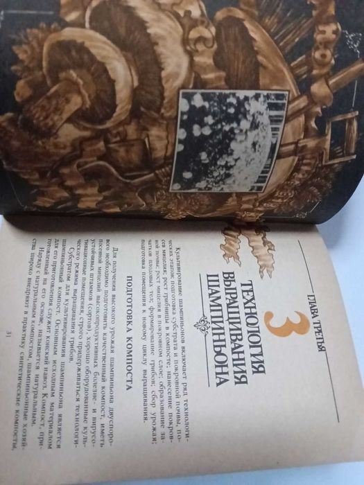 Букинистика. Культивирование съедобных грибов. Выращивание грибов