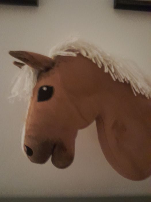 Hooby horse a4 gniady