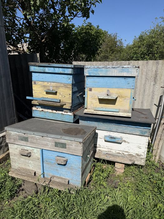 Вулики для бджіл