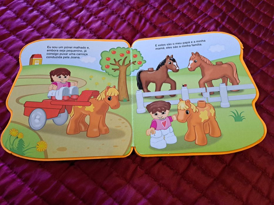 O Sonho do Pónei - LEGO