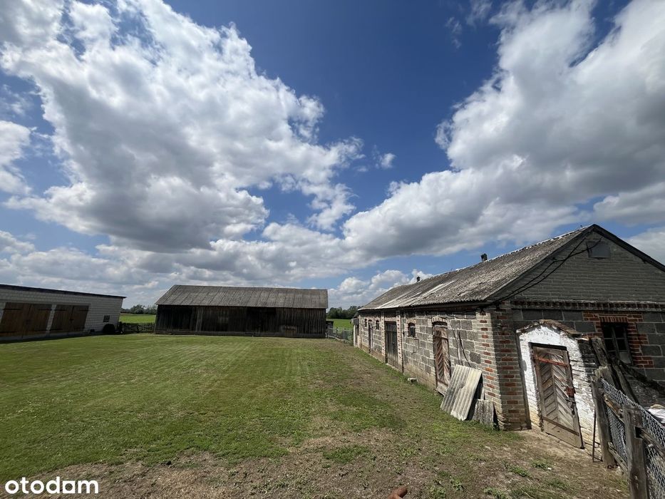 Dom – Kotlice - Widok 5