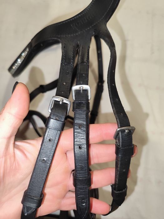 Ogłowie z cofniętą potylicą