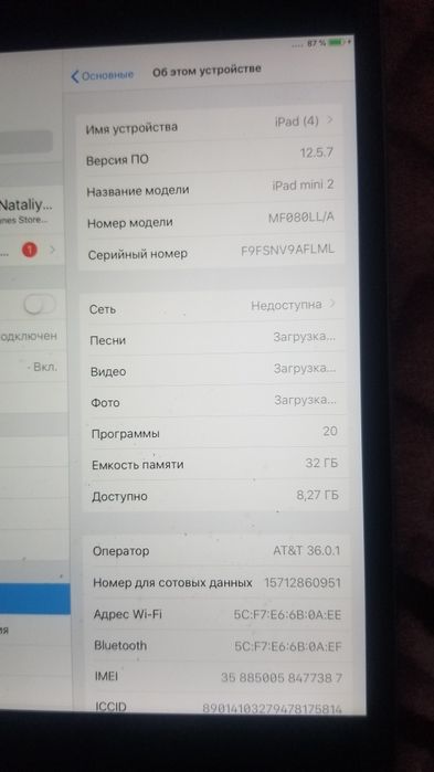 iPad mini на запчасти