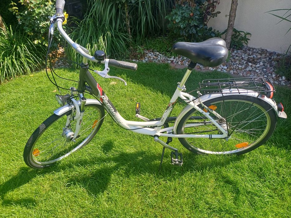Rower damka Pegasus