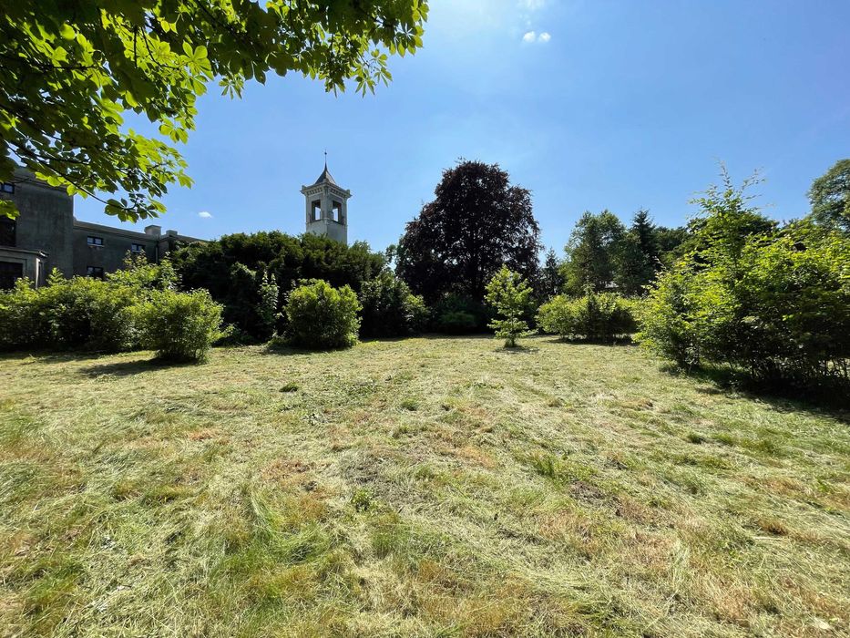 GreenAxe – wycinka drzew i porządkowanie działek