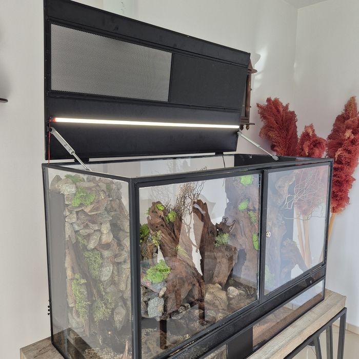 Terarium z wyposażeniem