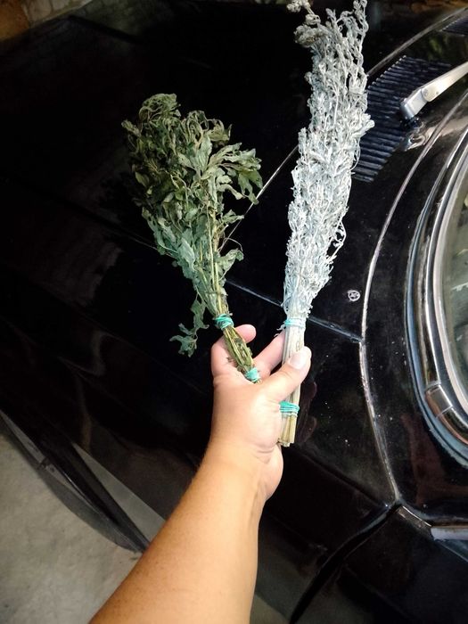 Веники для бани,берёза,дуб,канадский дуб,полынь,чебрец,мята