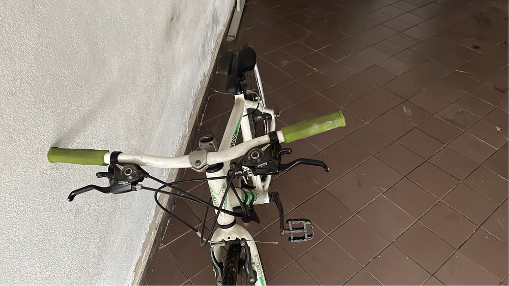 Bicicleta de adulto