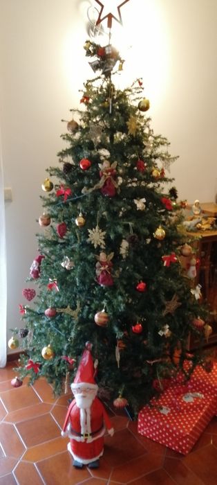 Árvore pinheiro de natal