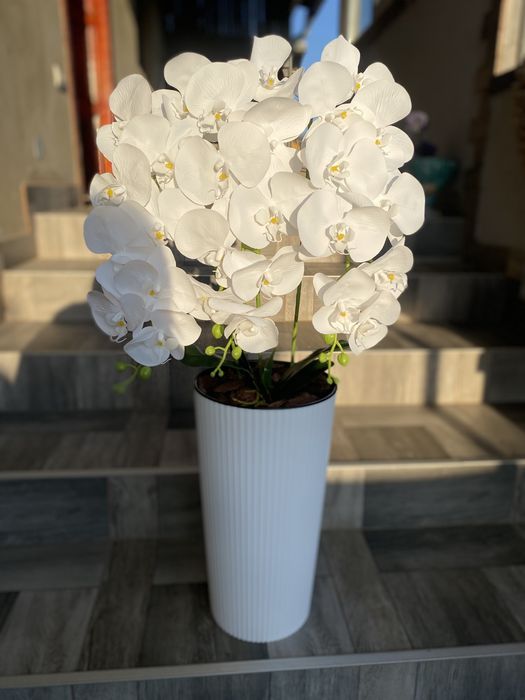 Латексна орхідея