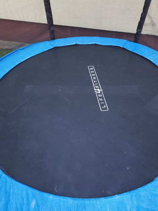 Trampolina 250cm
