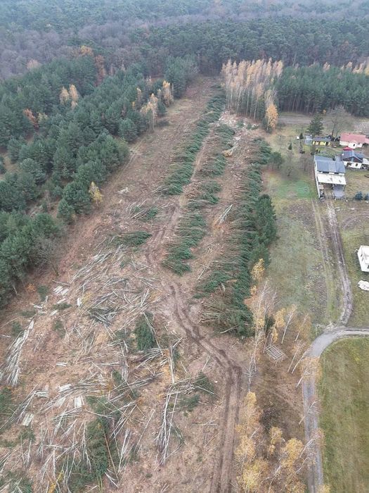 Mulczer frez wgłębny|wycinka|czyszczenie działek|Rębak|Roboty ziemne