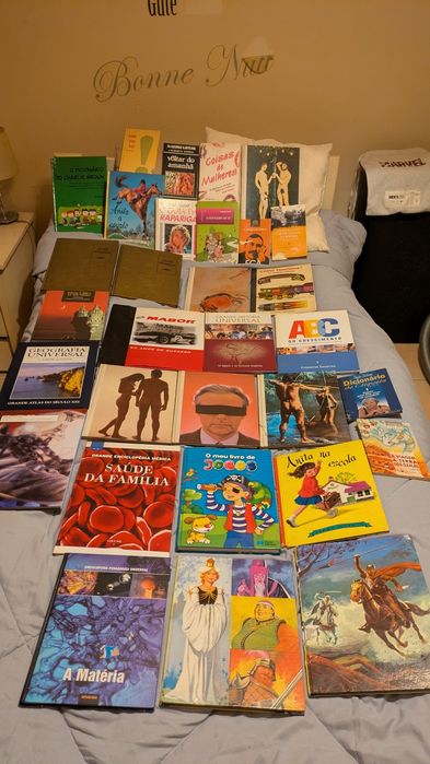 Grande coleção de livros de vários tipos