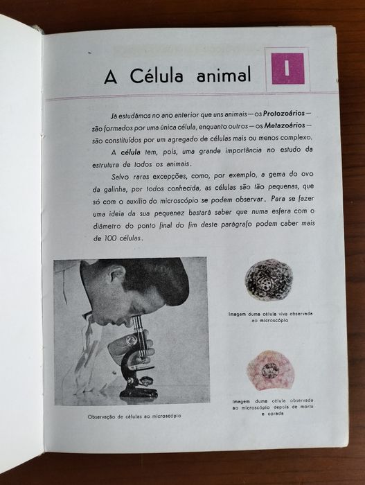 Antigo Compêndio de Zoologia - Américo Areal