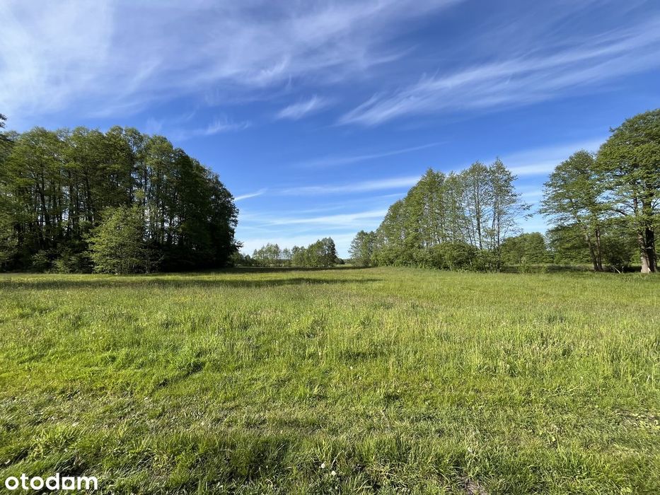 Działka budowlana 4900 m², dom i działka rolna 3,2 ha, pod inwestycję - Widok 4