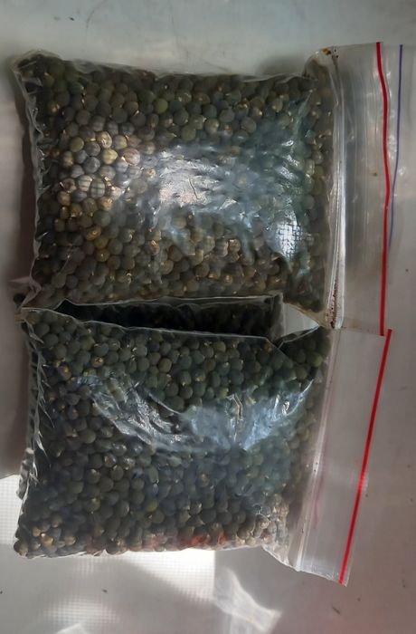 Насіння  бамії,бамія