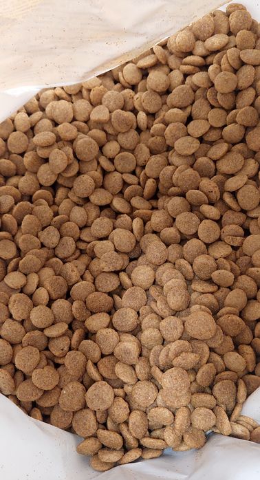 Корм для собак з телятиною та куркою