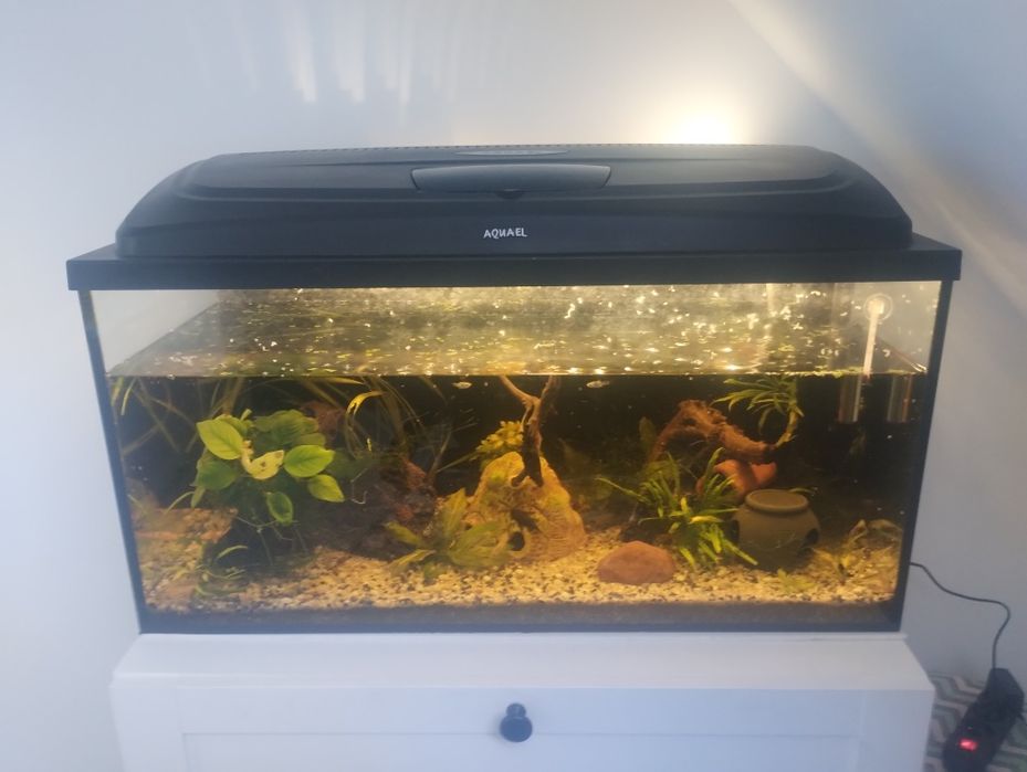 Akwarium 120 l szczelne