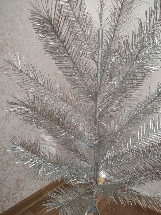 Ялинка срібляста СССР