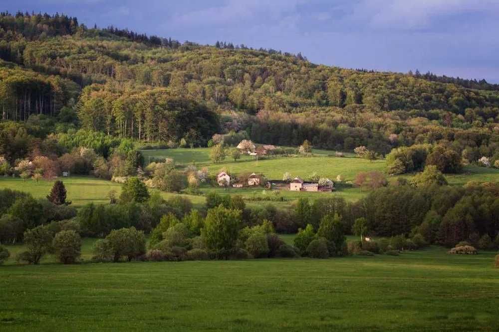1,4 та 2,3 Га під забудову в с. Стара Гута