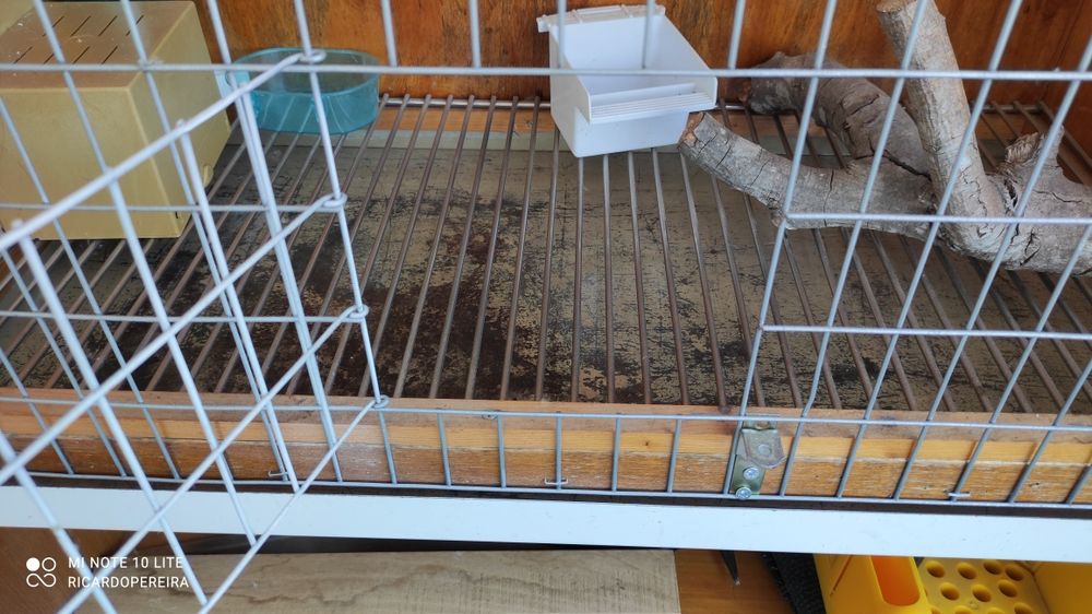 Vendo viveiro impecável